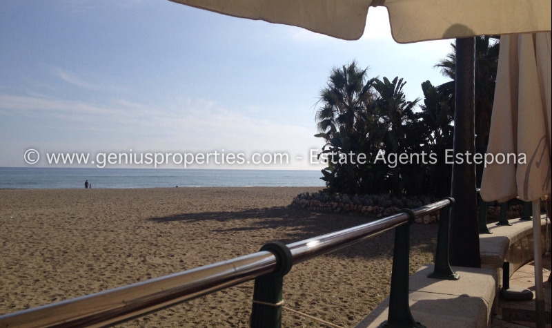 Genius Properties – Estate Agent Estepona – Restaurant Review – El Pescador
